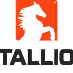 Stallion Energy Services